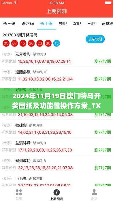 2024年11月19日澳门特马开奖图纸及功能性操作方案_TXW6.27.94编程版