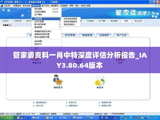 管家婆资料一肖中特深度评估分析报告_IAY3.80.64版本