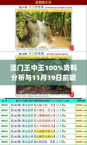 澳门王中王100%资料分析与11月19日前瞻讨论路径_DTE1.48.64冒险版本