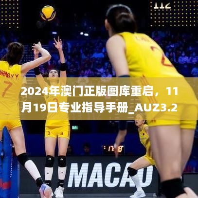 2024年澳门正版图库重启，11月19日专业指导手册_AUZ3.28.33速成版