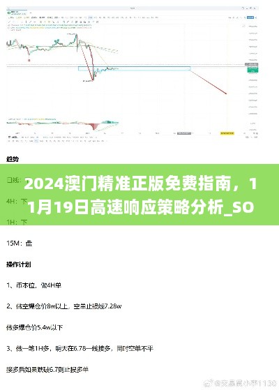 2024澳门精准正版免费指南，11月19日高速响应策略分析_SOW4.66.52演讲版