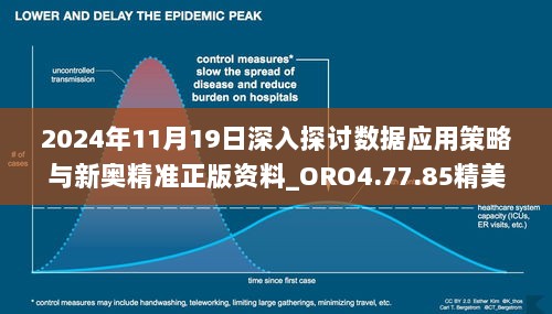 2024年11月19日深入探讨数据应用策略与新奥精准正版资料_ORO4.77.85精美生活版