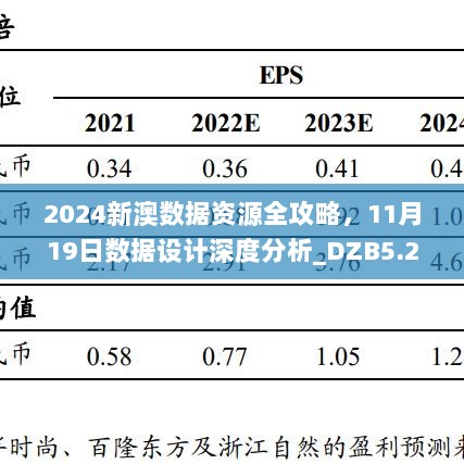 2024新澳数据资源全攻略，11月19日数据设计深度分析_DZB5.21.99付费版