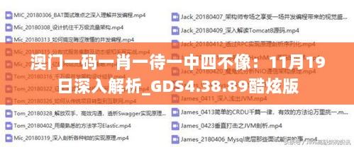 澳门一码一肖一待一中四不像：11月19日深入解析_GDS4.38.89酷炫版