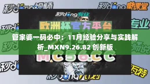 管家婆一码必中：11月经验分享与实践解析_MXN9.26.82 创新版