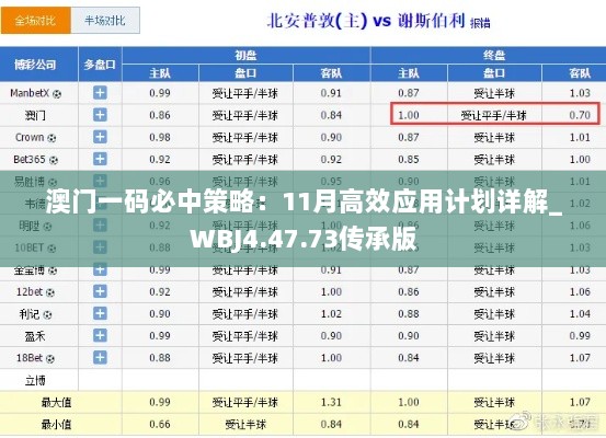 澳门一码必中策略：11月高效应用计划详解_WBJ4.47.73传承版