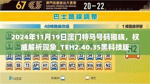 2024年11月19日澳门特马号码揭晓，权威解析现象_TEH2.40.35黑科技版