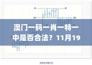 澳门一码一肖一特一中是否合法？11月19日详解与定义_BSY4.54.43版