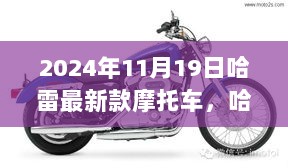 2024年哈雷最新款摩托车探秘，独特小巷中的新风尚摩托车店