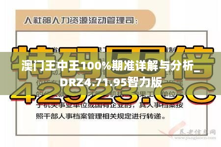 澳门王中王100%期准详解与分析_DRZ4.71.95智力版