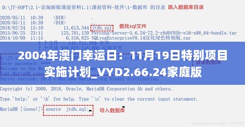 2004年澳门幸运日：11月19日特别项目实施计划_VYD2.66.24家庭版