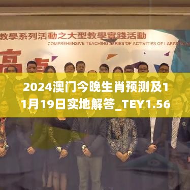 2024澳门今晚生肖预测及11月19日实地解答_TEY1.56.37环保版