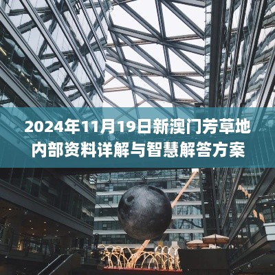 2024年11月19日新澳门芳草地内部资料详解与智慧解答方案_CAJ7.42.38潮流版