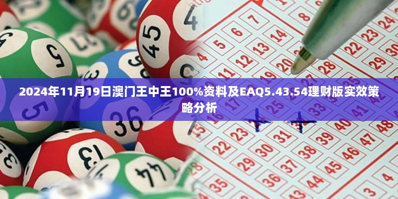 2024年11月19日澳门王中王100%资料及EAQ5.43.54理财版实效策略分析