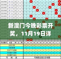 新澳门今晚彩票开奖，11月19日详解解答_XGI3.80.98个性版