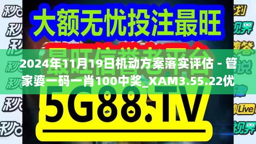 2024年11月19日机动方案落实评估 - 管家婆一码一肖100中奖_XAM3.55.22优雅版