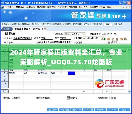 2024年管家婆正版资料全汇总，专业策略解析_UOQ8.75.70炫酷版