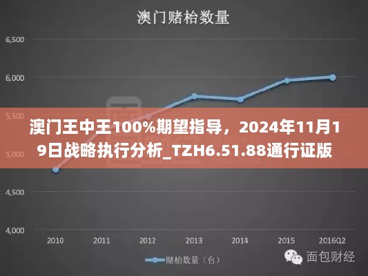 澳门王中王100%期望指导，2024年11月19日战略执行分析_TZH6.51.88通行证版