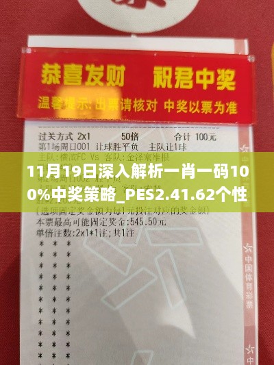11月19日深入解析一肖一码100%中奖策略_PES2.41.62个性化版本