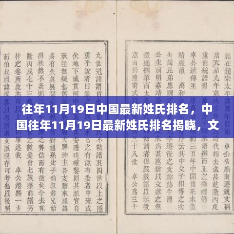 往年11月19日中国最新姓氏排名揭晓，文化传承与现代变迁的见证