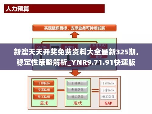 新澳天天开奖免费资料大全最新325期,稳定性策略解析_YNR9.71.91快速版