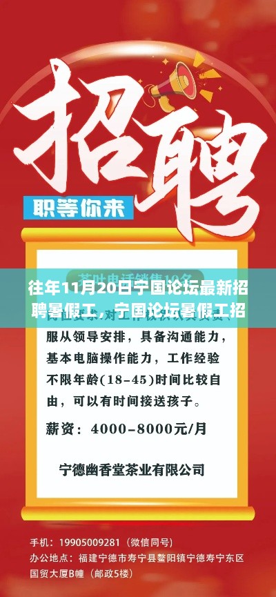 宁国论坛暑假工招聘的深度观察与思考，往年11月20日的招聘情况分析