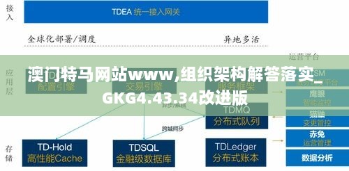 澳门特马网站www,组织架构解答落实_GKG4.43.34改进版