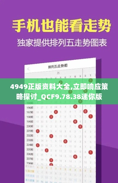 4949正版资料大全,立即响应策略探讨_QCF9.78.38迷你版