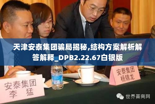 天津安泰集团骗局揭秘,结构方案解析解答解释_DPB2.22.67白银版