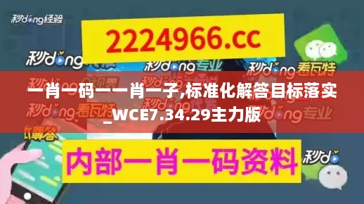 一肖一码一一肖一子,标准化解答目标落实_WCE7.34.29主力版