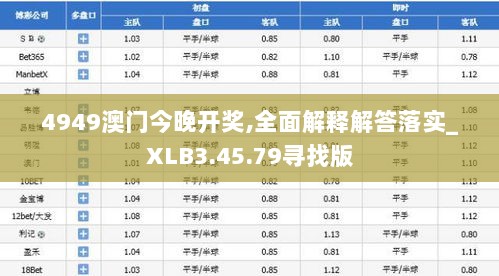 4949澳门今晚开奖,全面解释解答落实_XLB3.45.79寻找版