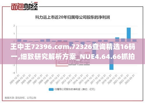 王中王72396.cσm.72326查询精选16码一,细致研究解析方案_NUE4.64.66抓拍版