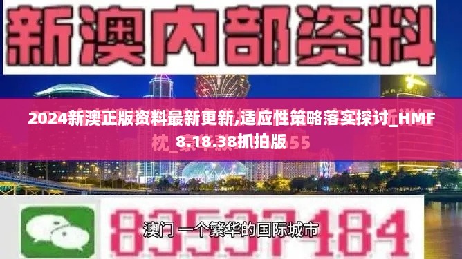 2024新澳正版资料最新更新,适应性策略落实探讨_HMF8.18.38抓拍版