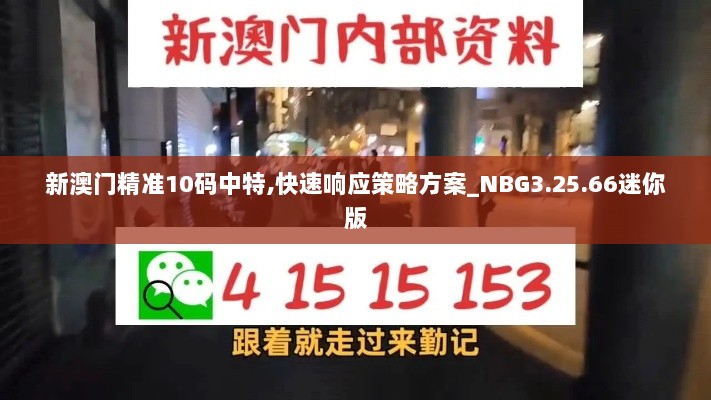 新澳门精准10码中特,快速响应策略方案_NBG3.25.66迷你版