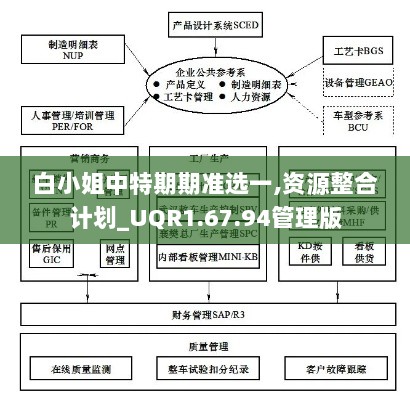 白小姐中特期期准选一,资源整合计划_UQR1.67.94管理版