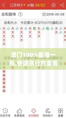 澳门100%最准一肖,快速执行方案落实_LWD3.79.81实用版