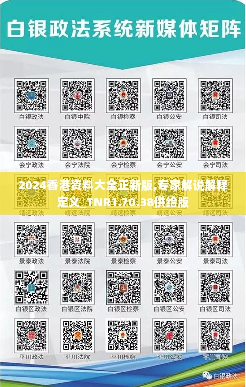 2024香港资料大全正新版,专家解说解释定义_TNR1.70.38供给版