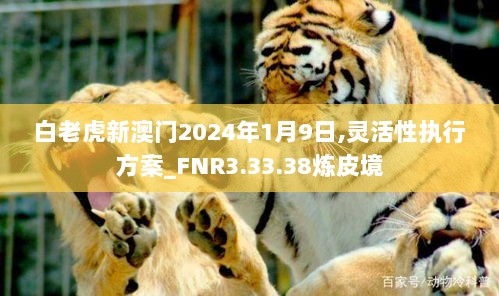 白老虎新澳门2024年1月9日,灵活性执行方案_FNR3.33.38炼皮境