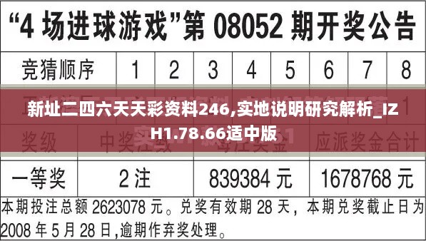 新址二四六天天彩资料246,实地说明研究解析_IZH1.78.66适中版