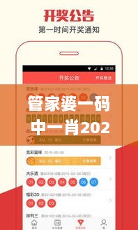 管家婆一码中一肖2024,专业执行问题_VXE2.20.99文化传承版