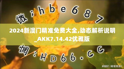 2024新澳门精准免费大全,动态解析说明_AKK7.14.42优雅版