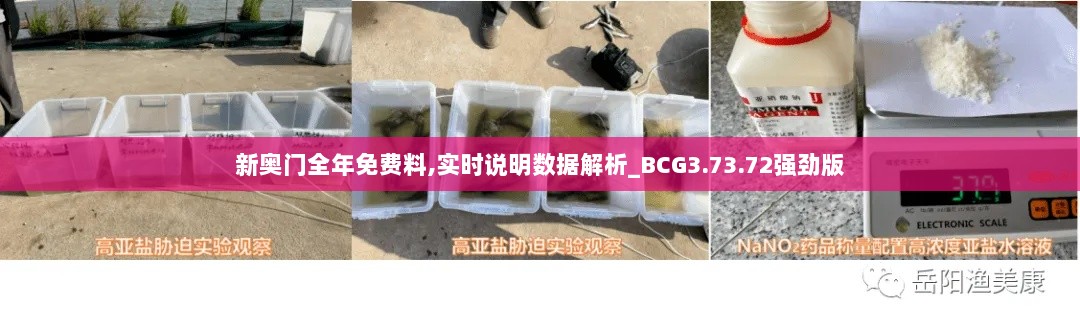 新奥门全年免费料,实时说明数据解析_BCG3.73.72强劲版