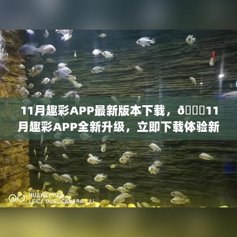 根据您提供的内容，我为您生成一个标题如下，，11月趣彩APP全新升级，立即下载体验新版本——安全、合法、便捷的娱乐新选择！，强调了趣彩APP的全新升级和下载体验，同时也突出了其安全、合法和便捷的特点。希望符合您的要求。