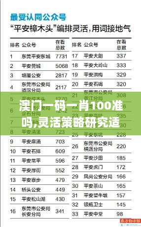 澳门一码一肖100准吗,灵活策略研究适配_RRO5.58.33旅行者版