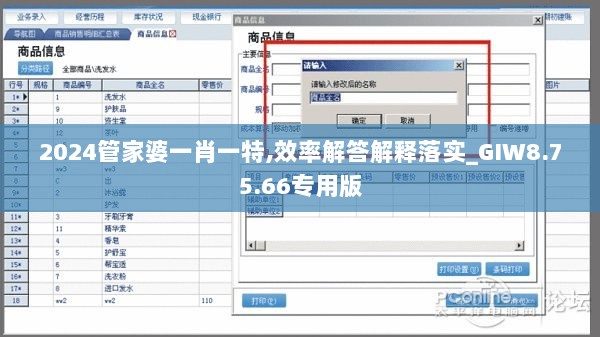 2024管家婆一肖一特,效率解答解释落实_GIW8.75.66专用版