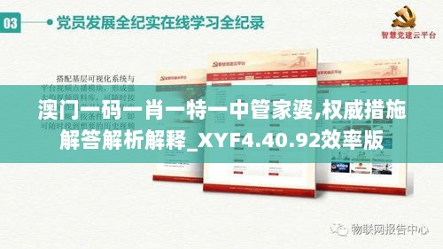 澳门一码一肖一特一中管家婆,权威措施解答解析解释_XYF4.40.92效率版