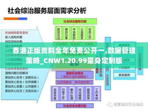 香港正版资料全年免费公开一,数据管理策略_CNW1.20.99量身定制版