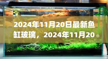 2024年11月20日，自信与成就感共舞的最新鱼缸玻璃艺术体验