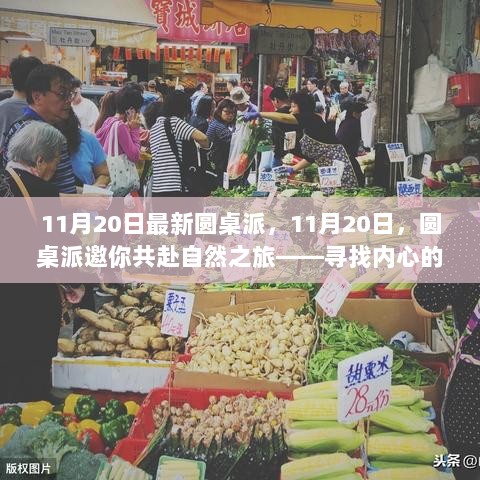 11月20日圆桌派，寻找内心的平静与喜悦的自然之旅