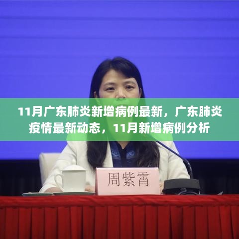 广东11月肺炎疫情新增病例最新动态及分析